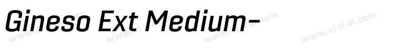 Gineso Ext Medium字体转换